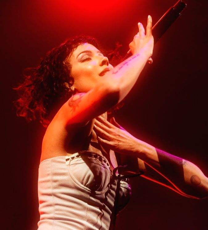 Halsey explains her 'cowardice' for being silent on Palestine-Israel conflict - Vimarsana News