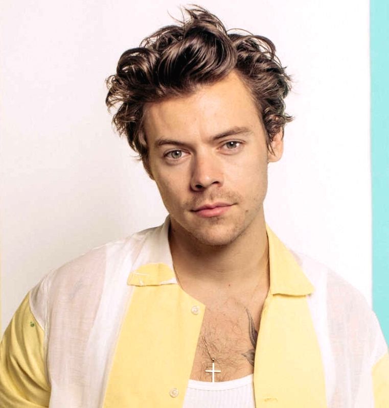 Harry Styles teams up with charity to end US gun violence - Vimarsana News