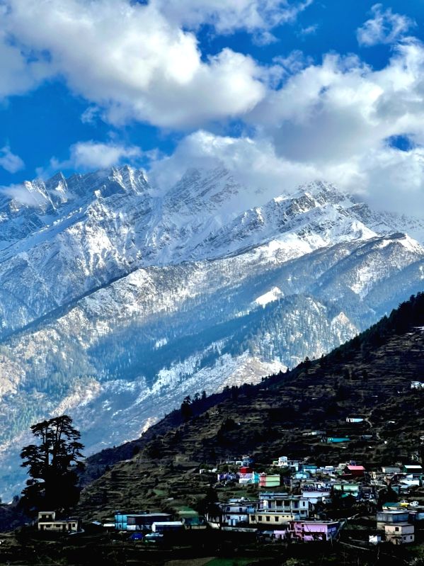 How various iPhone camera modes light up World Photography Day - Vimarsana News