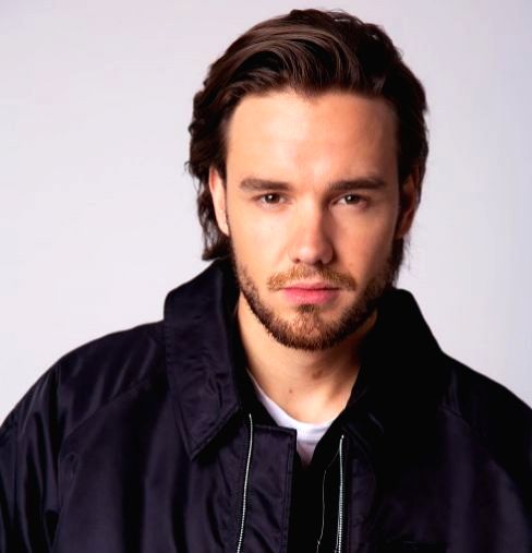 Liam Payne credits One Direction friends with helping him through 'dark time' - Vimarsana News