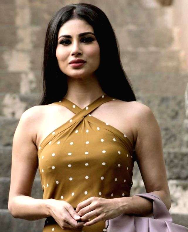 Mouni Roy went over 200 outfits, experimented with her hair for 'Sultan of Delhi' - Vimarsana News