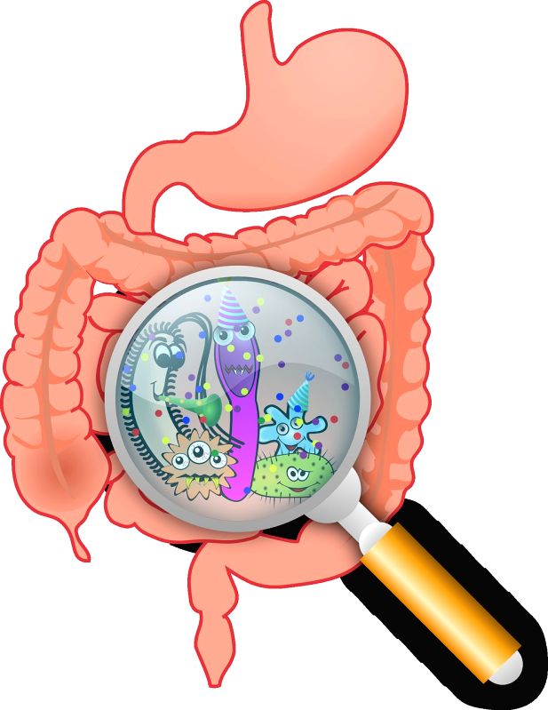 Mysterious stomach infection hits Mumbai celebrities as docs offer some clues - Vimarsana News