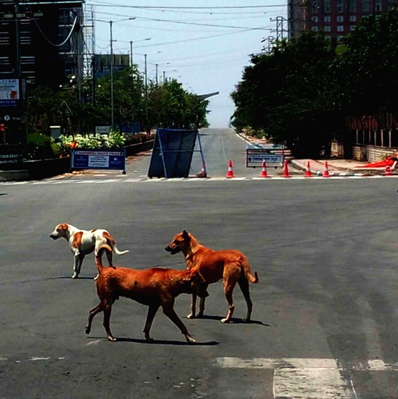 Pregnant woman fights stray dogs to save her 3 kids in UP - Vimarsana News