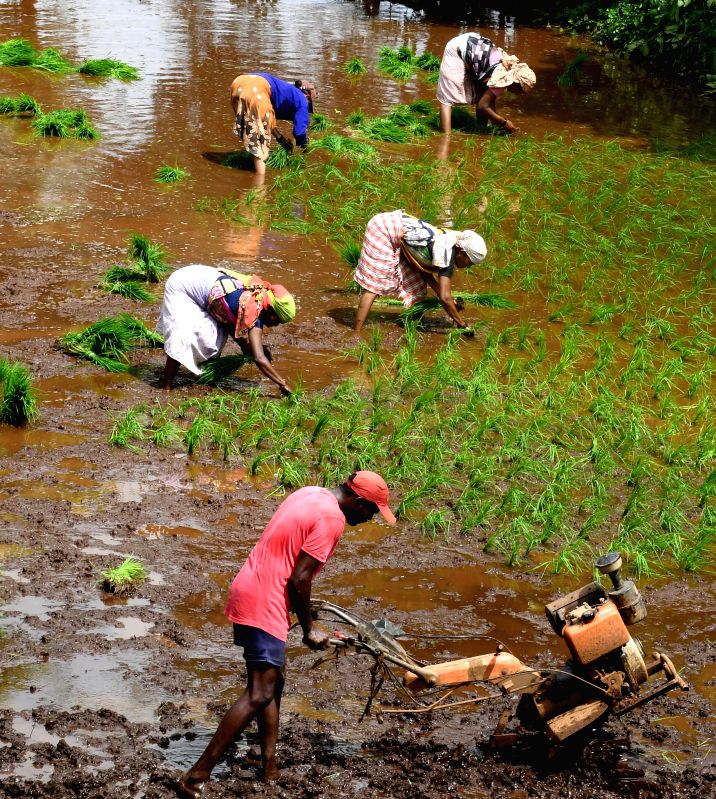 Interim Budget: FM focus on farmers welfare and rural demand, says direct financial help provided to 11.8 cr farmers every year - Vimarsana News