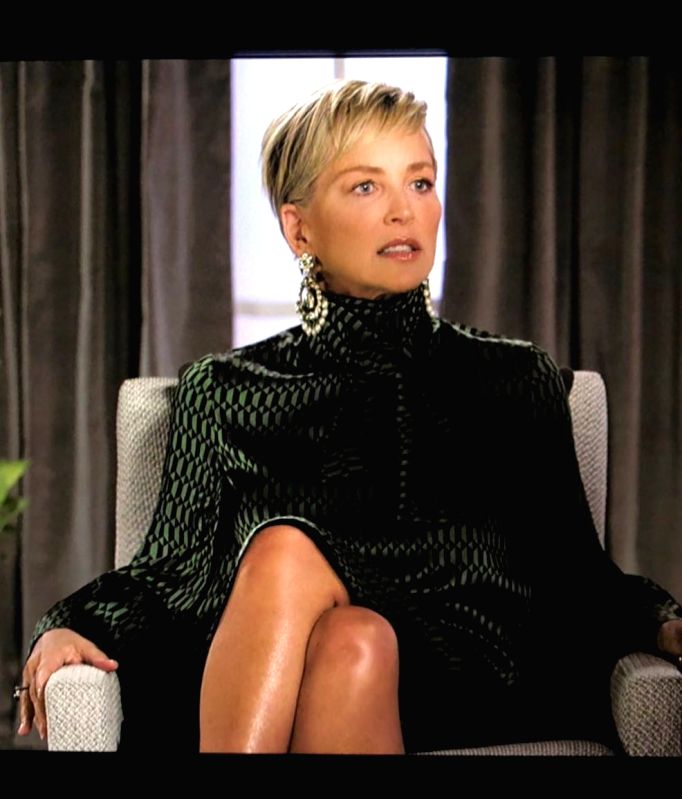 Sharon Stone reveals why it's 'very expensive to be famous' - Vimarsana News