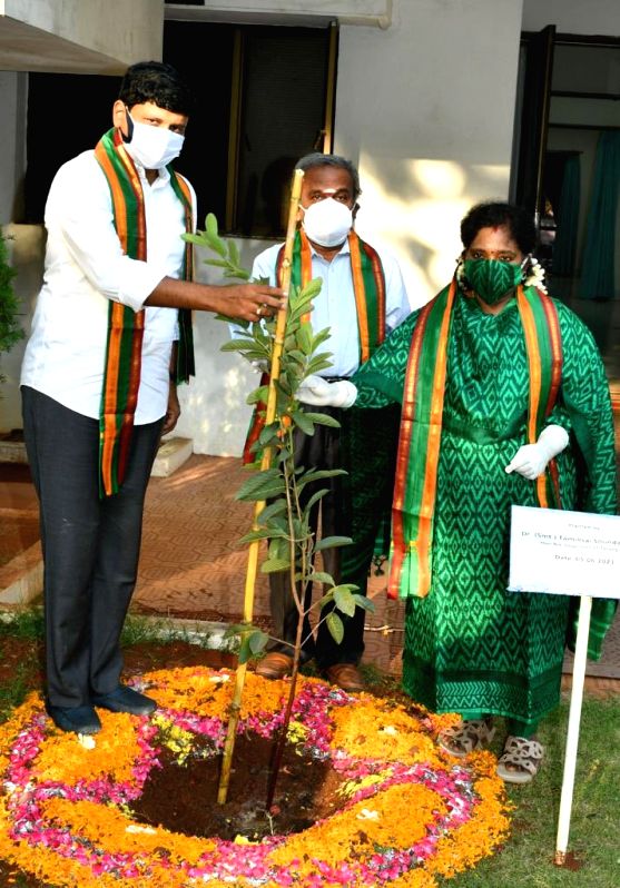Telangana MP's green challenge making a difference - Vimarsana News