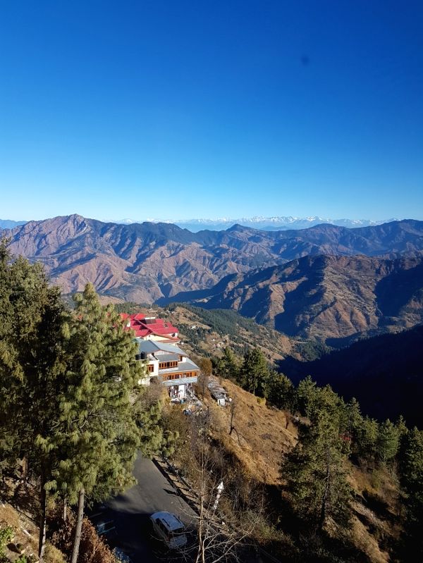 Climate change hotspots map indicate maximum vulnerability for Himalayan forests - Vimarsana News