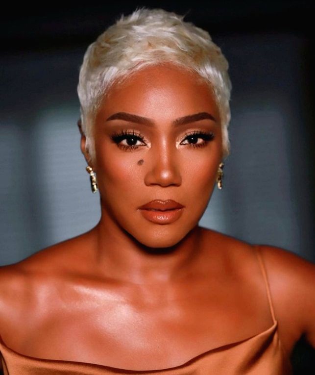 Tiffany Haddish pleads 'no contest' to reckless driving case - Vimarsana News