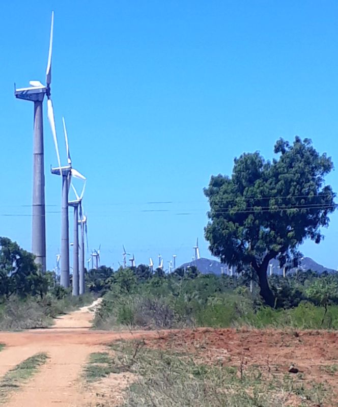 Wind energy could help India add 23.7 GW of clean capacity by 2026: Outlook - Vimarsana News