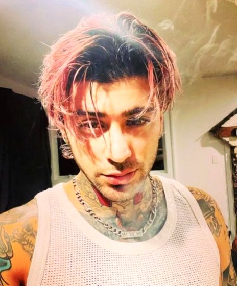 Zayn recollects One Direction days in new social media video - Vimarsana News
