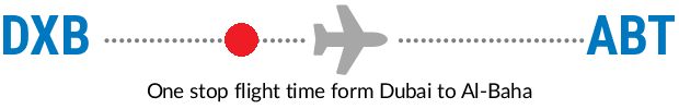 DXB to ABT